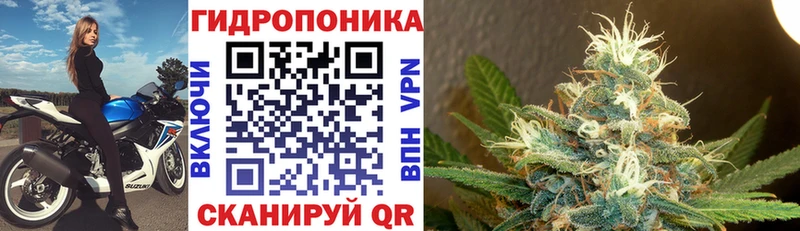 Магазин наркотиков Гдов Alpha-PVP  Cocaine  mega маркетплейс  Канабис  ГАШ 