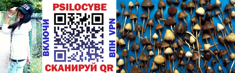 Псилоцибиновые грибы прущие грибы  сколько стоит  MEGA сайт  Гдов 